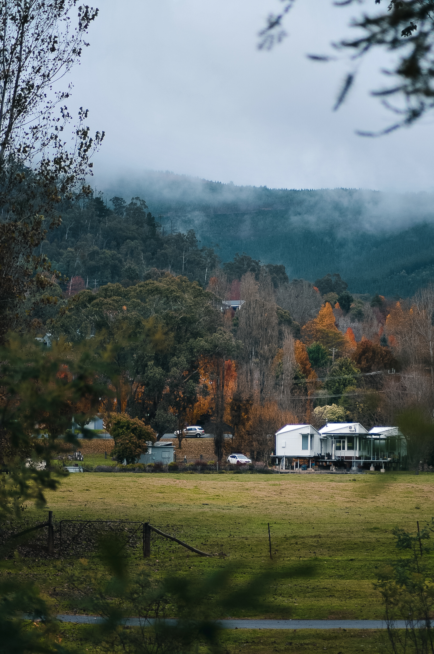 Mist drapes the mountains, blending earth and sky in a soft embrace. Clouds linger low, whispering through the valley as golden leaves glisten under the gentle rain. A few quiet homes nestle among the trees, their warmth a contrast to the crisp, damp air. A moment of solitude, where nature paints in shades of gold, grey, and serenity.